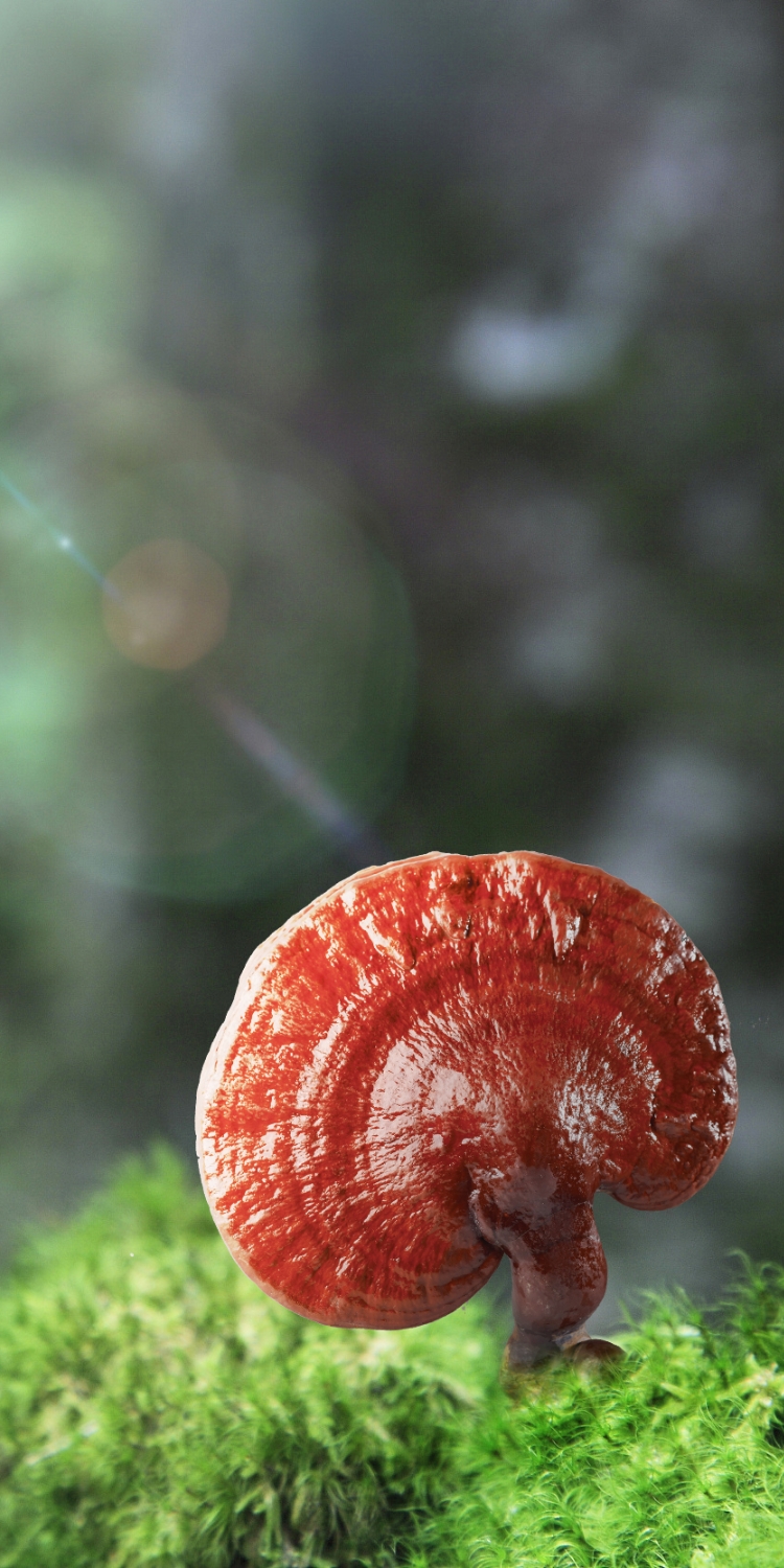 banner4